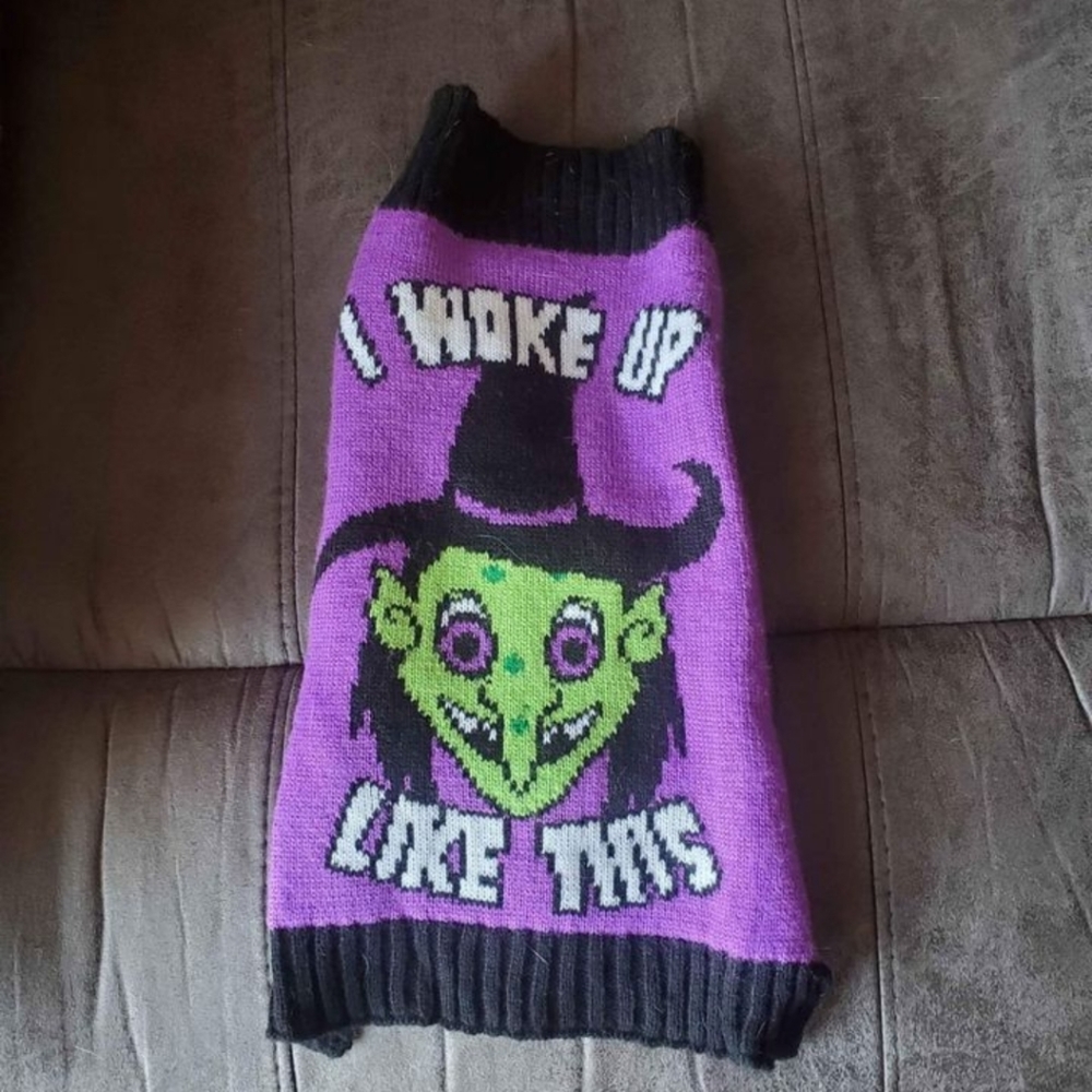 Halloween witch pet sweater